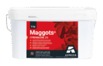 Maggots